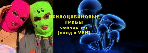 дмт Семикаракорск